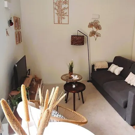 Cosy Et Chaleureux - Proche Faculte Apartmán Albi