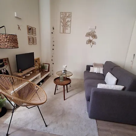 Apartament Cosy Et Chaleureux - Proche Faculte