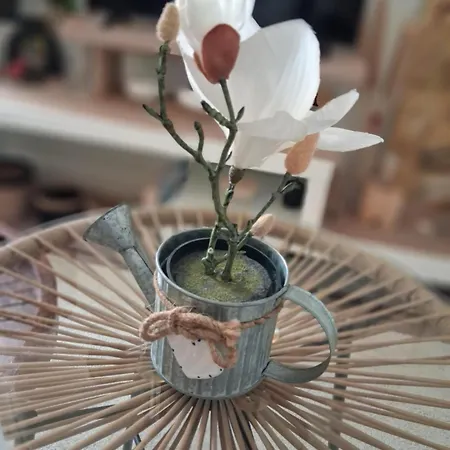 Cosy Et Chaleureux - Proche Faculte Apartament Albi