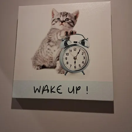 Apartament Cosy Et Chaleureux - Proche Faculte Albi