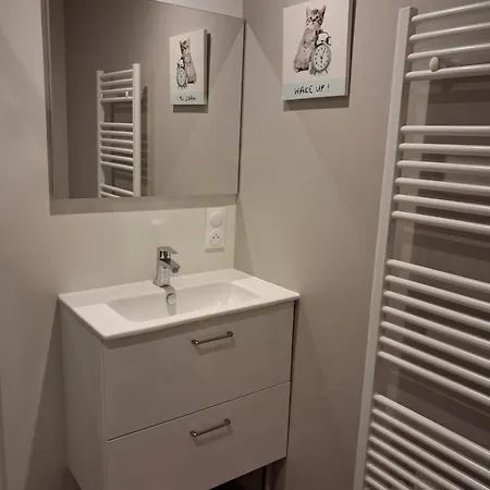 Cosy Et Chaleureux - Proche Faculte * Albi