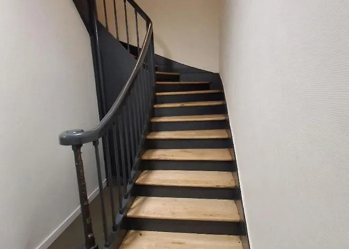 Cosy Et Chaleureux - Proche Faculte * Albi