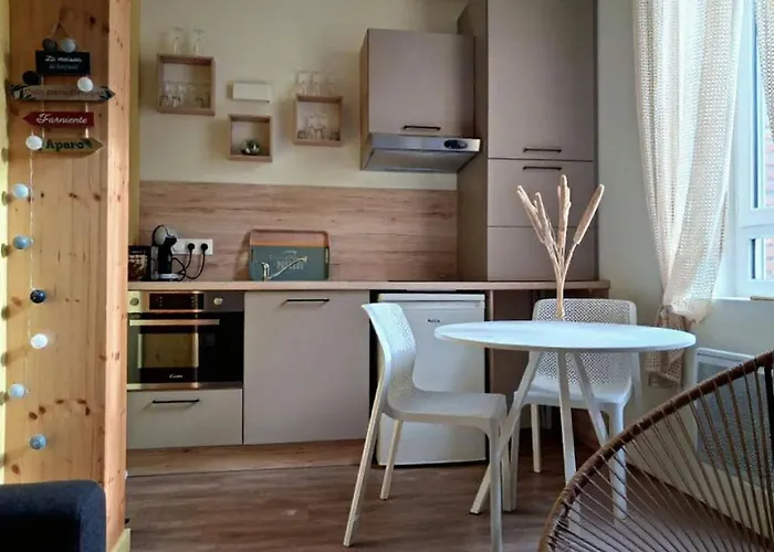 Apartmán Cosy Et Chaleureux - Proche Faculte