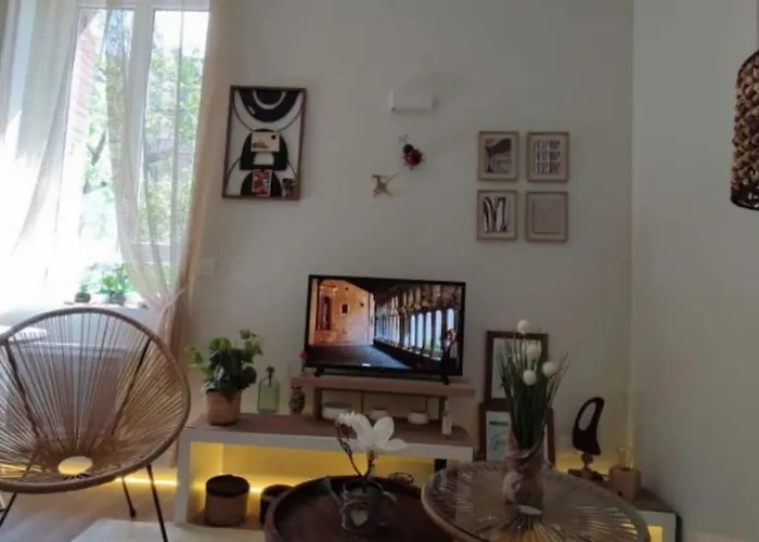 Apartament Cosy Et Chaleureux - Proche Faculte