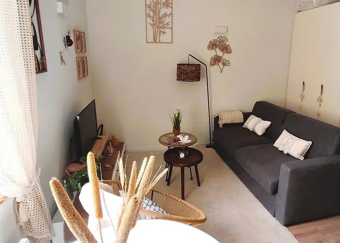 Cosy Et Chaleureux - Proche Faculte Apartmán Albi