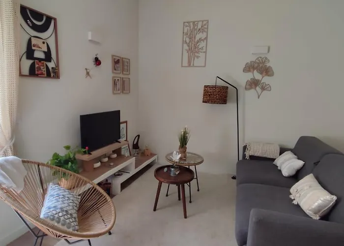 Apartmán Cosy Et Chaleureux - Proche Faculte