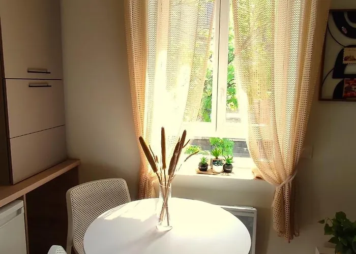 Cosy Et Chaleureux - Proche Faculte Apartament Albi