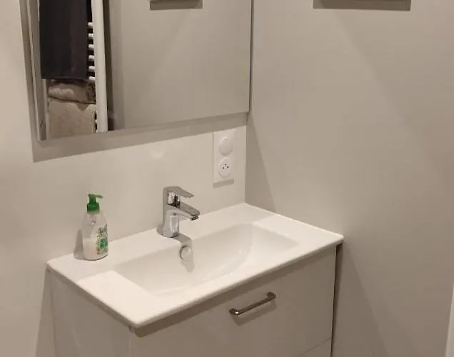 Apartmán Cosy Et Chaleureux - Proche Faculte Albi