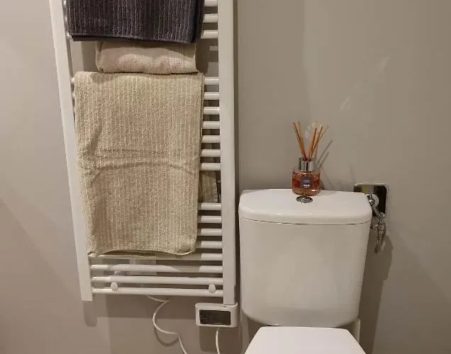 Cosy Et Chaleureux - Proche Faculte Apartmán Albi