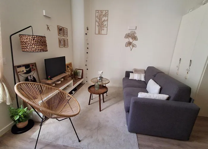 Apartament Cosy Et Chaleureux - Proche Faculte