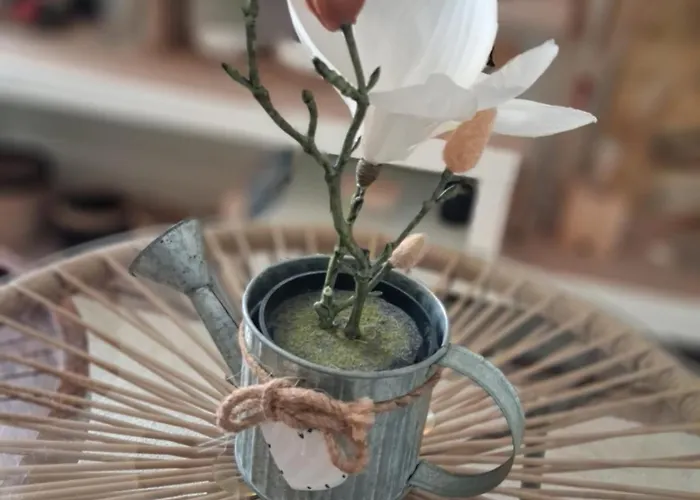 Cosy Et Chaleureux - Proche Faculte Apartament Albi