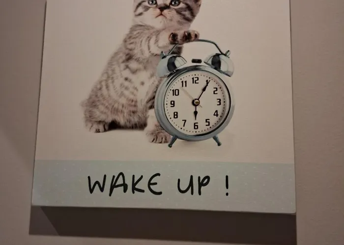 Apartament Cosy Et Chaleureux - Proche Faculte Albi