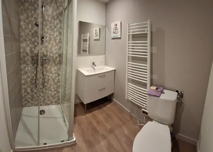 Cosy Et Chaleureux - Proche Faculte Albi